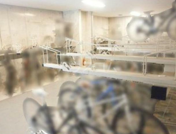 19/23 その他画像