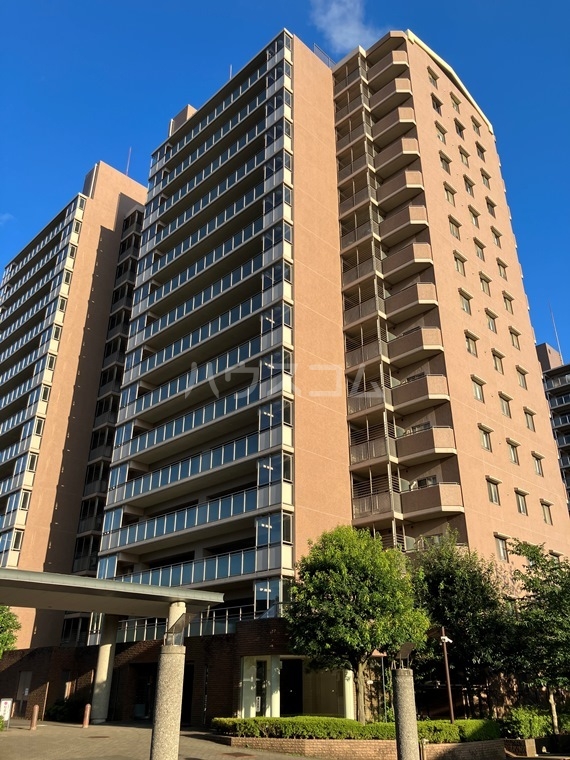 15/25 その他画像