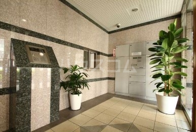 17/28 その他画像