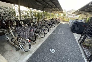 19/28 その他画像