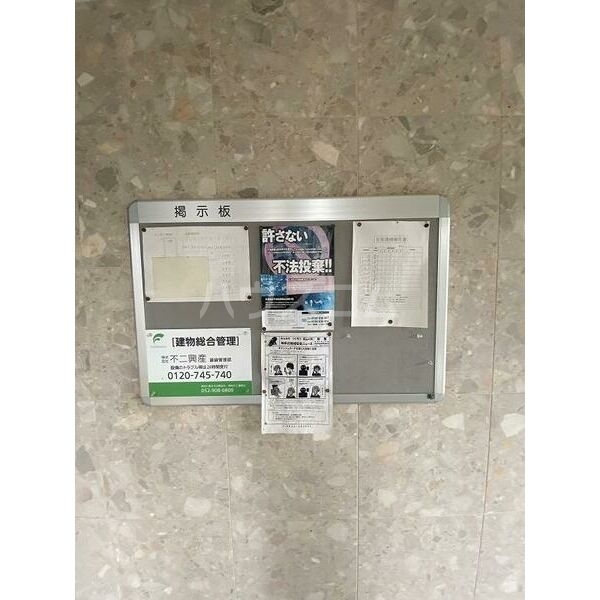 15/19 その他画像