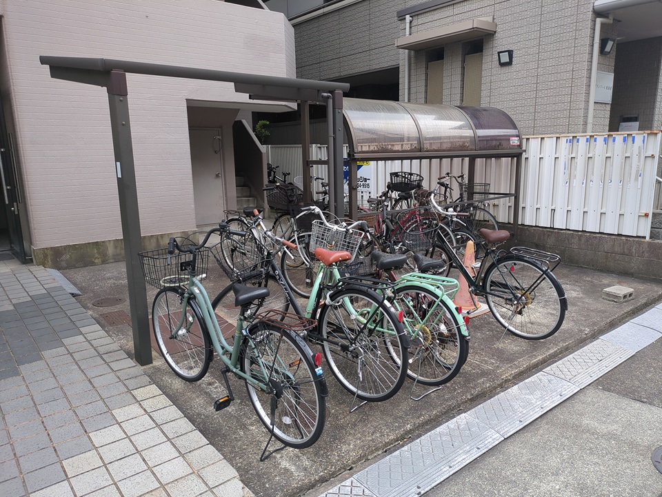 20/30 その他画像