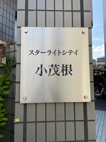 20/28 その他画像