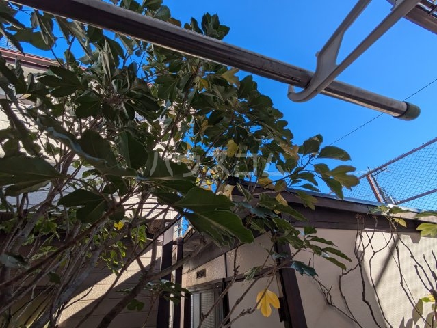 17/28 その他画像