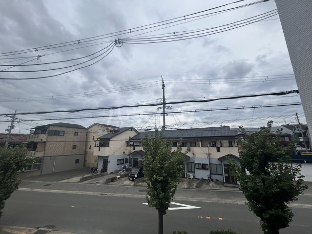 15/24 その他画像