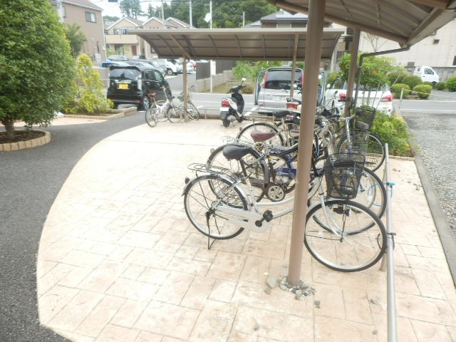 20/30 その他画像