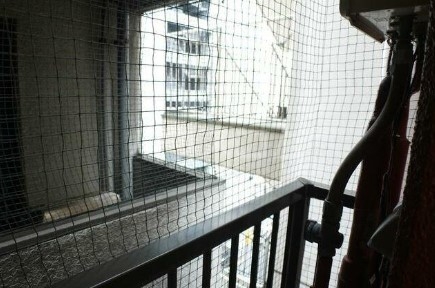 11/24 その他画像