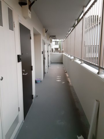 15/29 その他画像