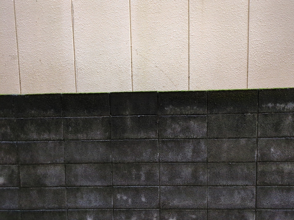 20/21 その他画像