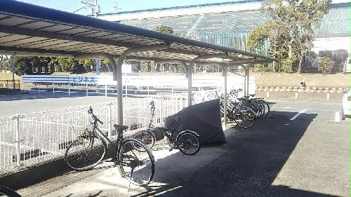 11/13 その他画像