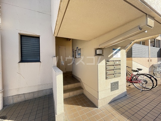 20/30 その他画像