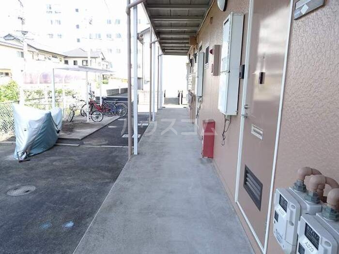 11/26 その他画像