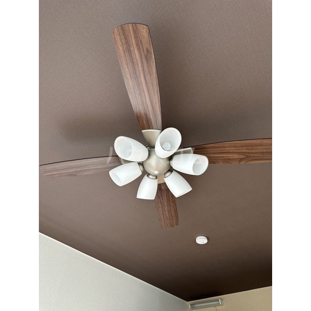 19/28 その他画像