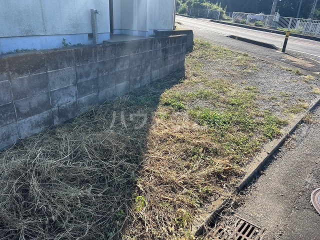 24/29 その他画像