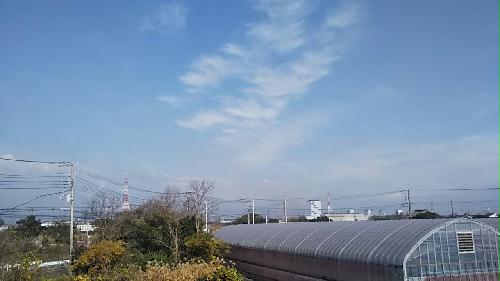 11/16 その他画像