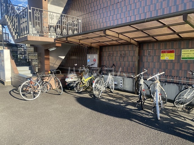 3/14 その他画像