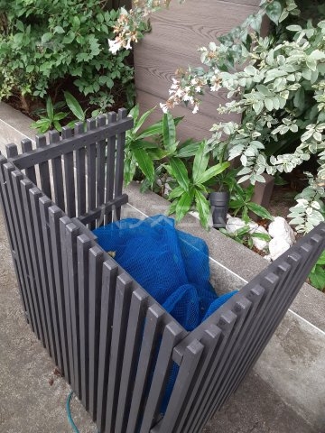 24/29 その他画像