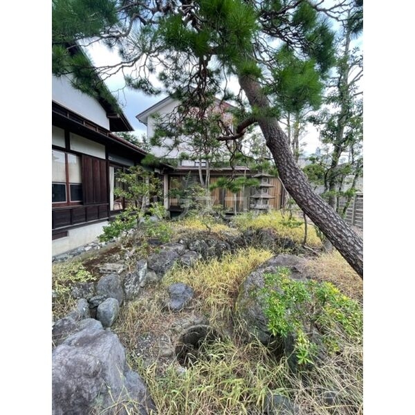 12/17 その他画像