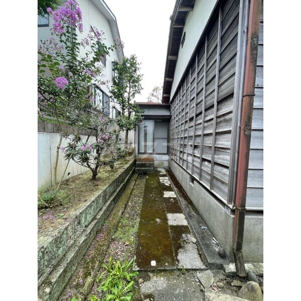 7/17 その他画像