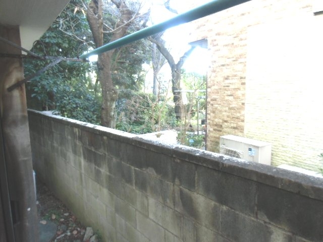 13/16 その他画像