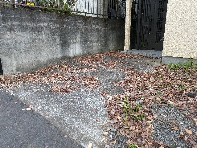 17/28 その他画像