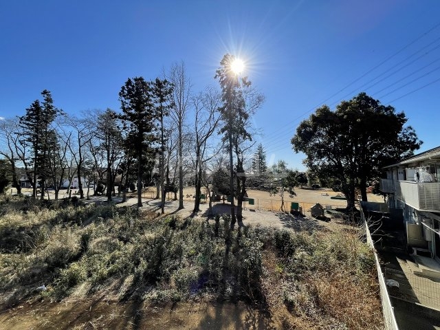 25/30 その他画像