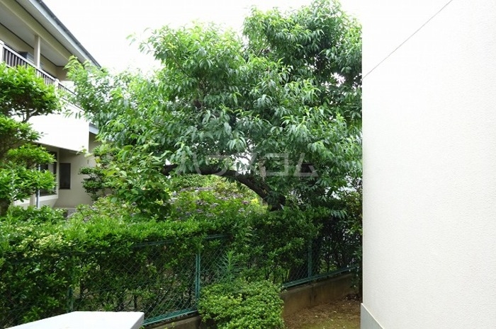 11/20 その他画像