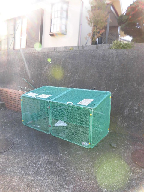 20/30 その他画像