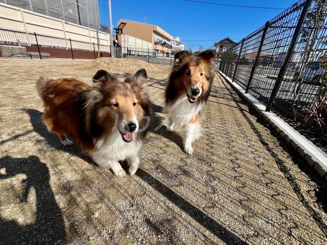 13/28 その他画像
