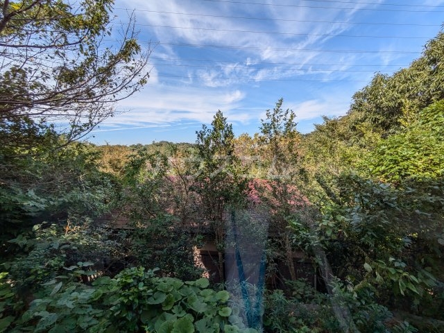 19/25 その他画像