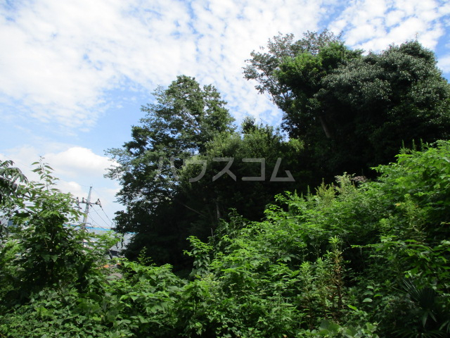 19/24 その他画像