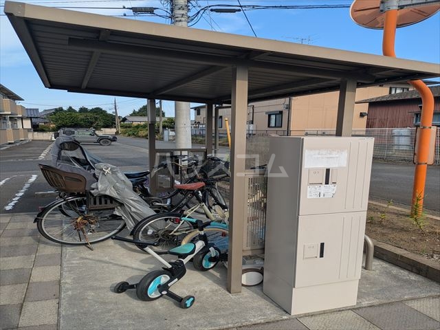 20/30 その他画像