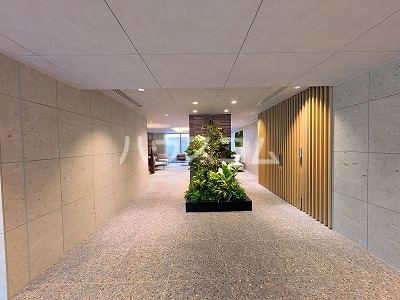 19/26 その他画像