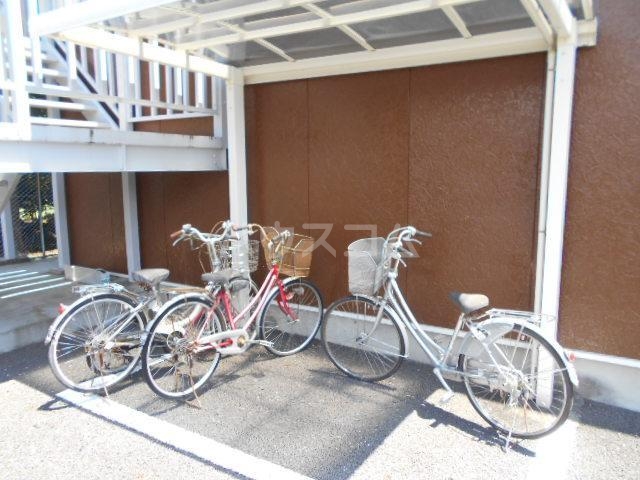 15/17 その他画像