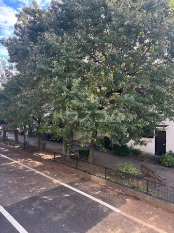 19/30 その他画像