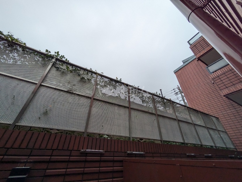 14/20 その他画像