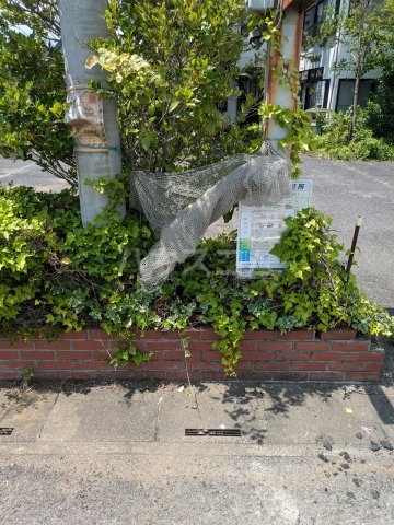 19/30 その他画像