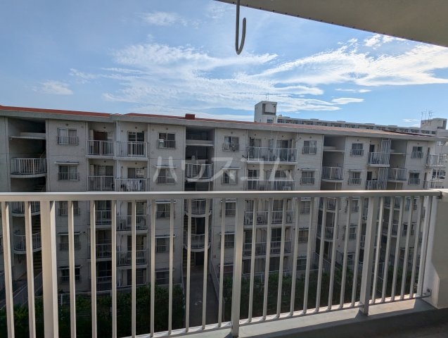 19/29 その他画像