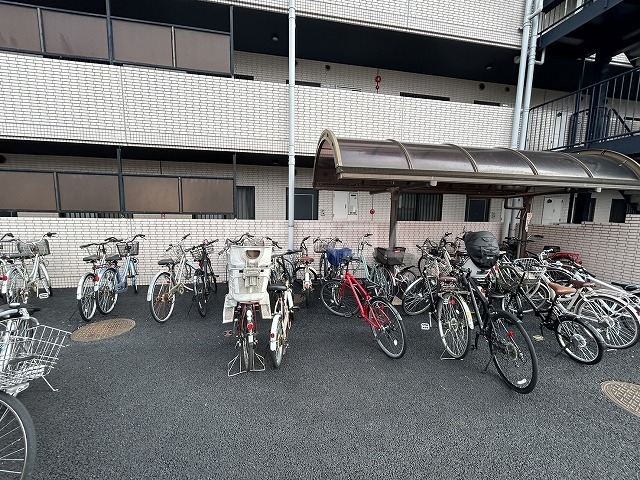その他画像