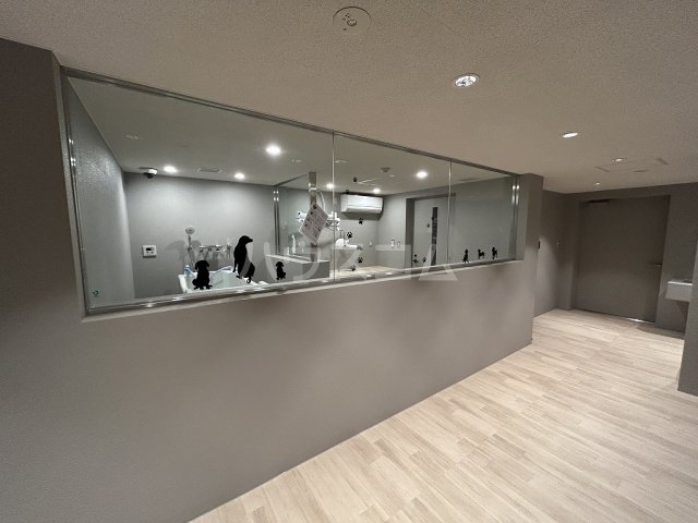 20/24 その他画像