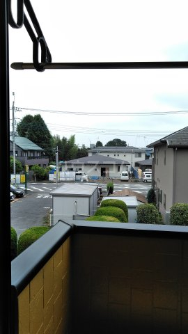 20/30 その他画像