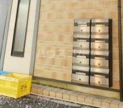 5/14 その他画像