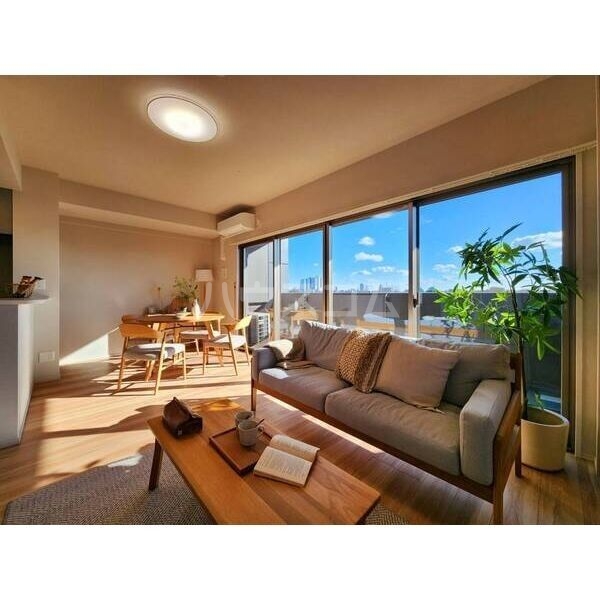 8/19 その他画像