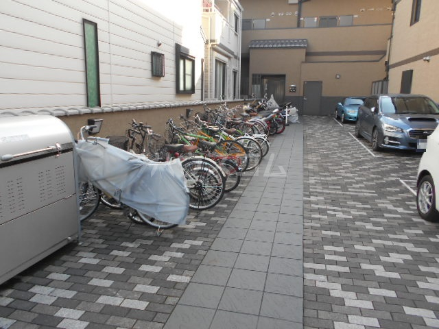 20/30 その他画像