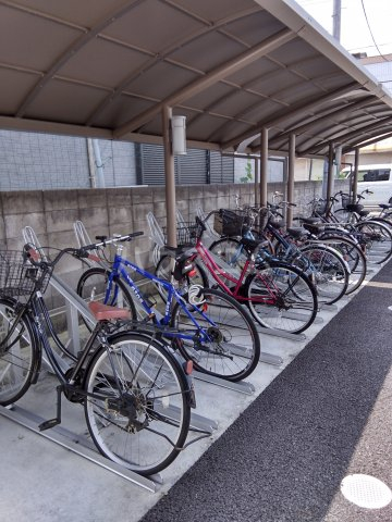 20/30 その他画像