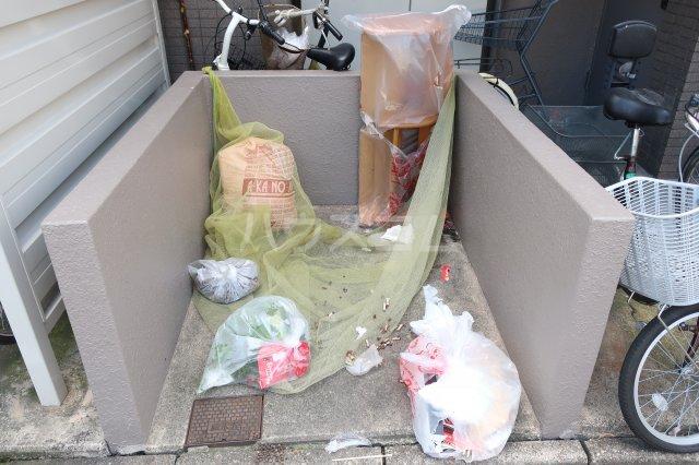 19/23 その他画像