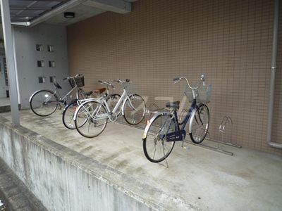 17/22 その他画像