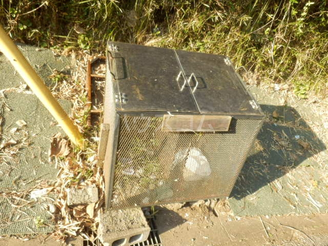 17/27 その他画像