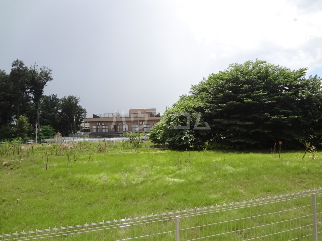 14/21 その他画像