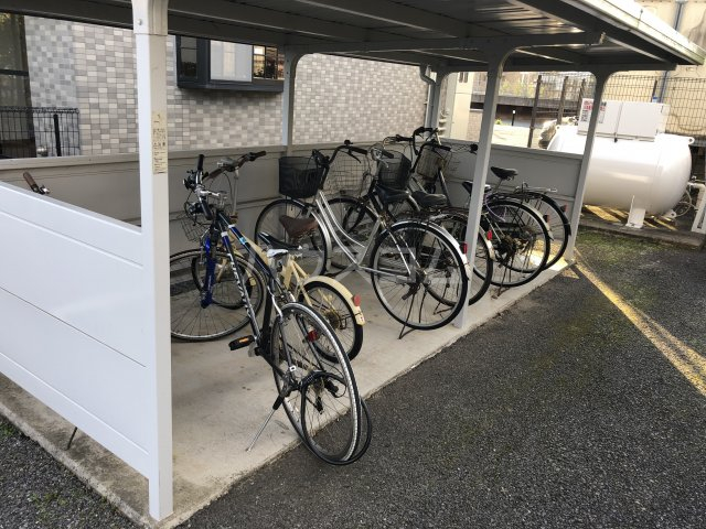 20/30 その他画像